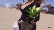 love and hip hop hollywood plant GIF by VH1