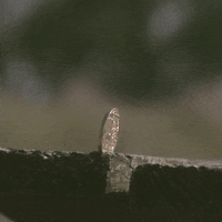 Moon Explosion GIF by FullMag