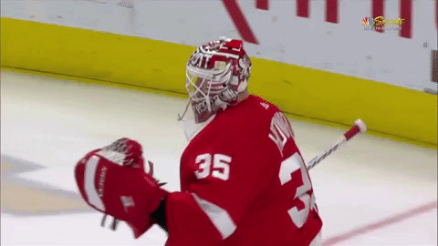 red wings dance GIF
