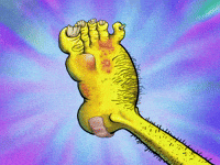 season 6 gullible pants GIF by SpongeBob SquarePants
