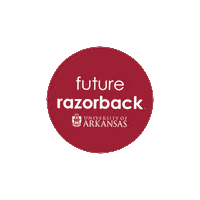 Arkansas Razorbacks College Sticker by BumpersCollege