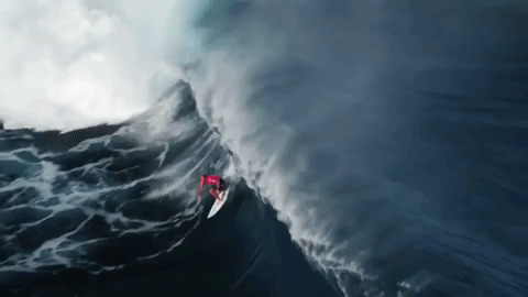 water sports sport GIF by World Surf League