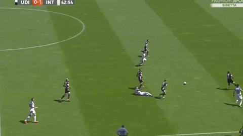 inter GIF by nss sports