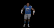Football Sport GIF by Detroit Lions