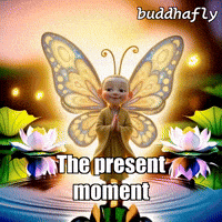 Fire Flower GIF by BuddhaFlyJourney