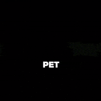 tailwagginuae tailwaggin GIF