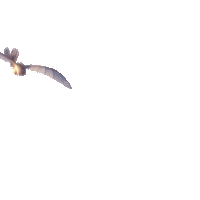 boom light fury Sticker by How To Train Your Dragon