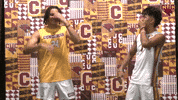Cuc GIF by CUCougars