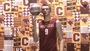 Cuc GIF by CUCougars