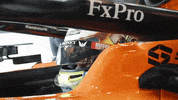 Lando Norris GIF by McLaren