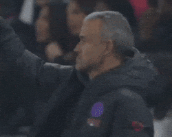 Paris Saint-Germain Psg GIF