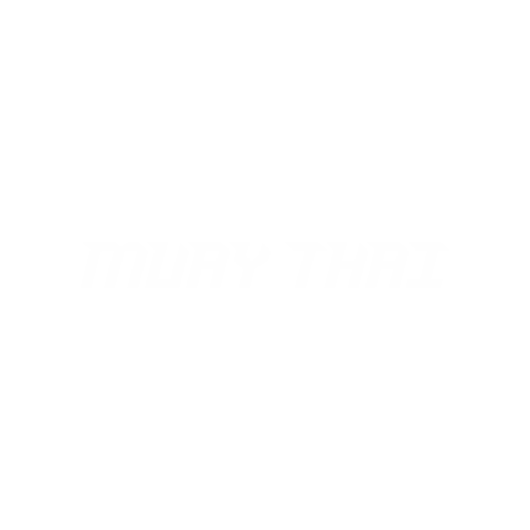 dynamicsports giphygifmaker martial arts kickboxing muay thai Sticker