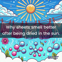 Microorganisms Ultraviolet Rays GIF by ExplainingWhy.com