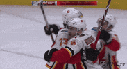 Ice Hockey GIF by NHL
