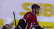 Happy Ice Hockey GIF by NHL