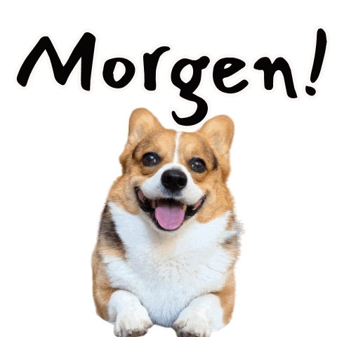 German Corgi Sticker