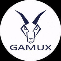 Gamux gamux gamux bikes GIF