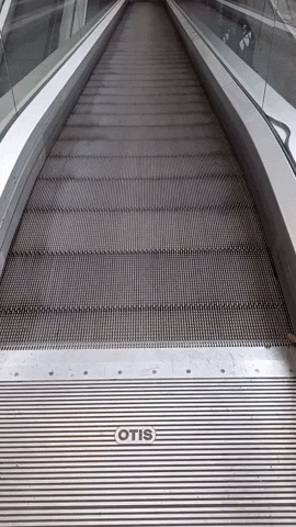 Simongip giphygifmaker GIF