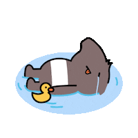 Sad Rubber Duck Sticker by airasia