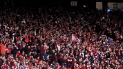 Fans Jamtarts GIF by Heart of Midlothian