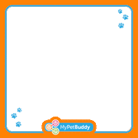 New Member Post Sticker by MyPetBuddy