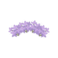 Summer Sticker Sticker