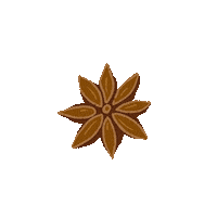 Star Anise Halloween Sticker