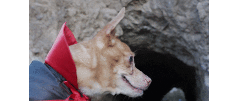 Happy Vampire Sticker by Launch Over Films LLC