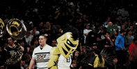 Sport Basketball GIF by UCF Knights