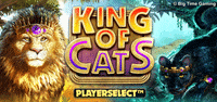 Game Cat GIF by Big Time Gaming