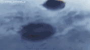 Op Official Music Video GIF