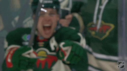 Happy Minnesota Wild GIF by NHL