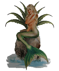 Mermaid Tequila Sticker by Encantadora - The Art of Agave