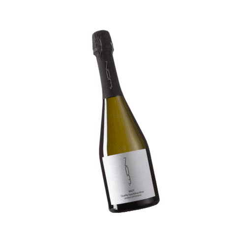 northernterroir giphyupload wine zoe sparklingwine Sticker