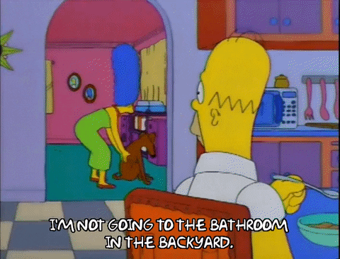 homer simpson GIF