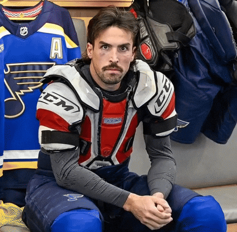 St Louis Blues GIF by STL From Above