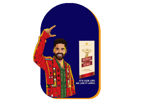 Celebration Sky Sticker by Royal Stag Live It Large