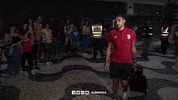 eduardo salvio slbgifs GIF by Sport Lisboa e Benfica