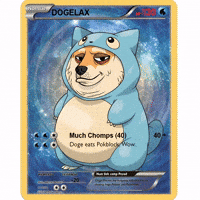 Illustration Wow GIF by Doge Pound