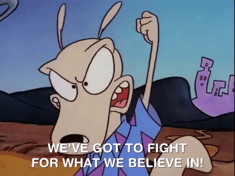 Rockos Modern Life Nicksplat GIF by NickRewind