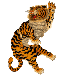 fashion rainbow Sticker by DSQUARED2