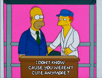 homer simpson what GIF