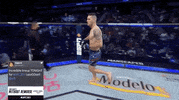 Chris Weidman Sport GIF by UFC