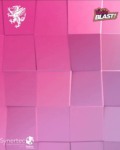 T20 Vitality Blast GIF by Somerset County Cricket Club
