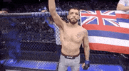 Sport Mma GIF by UFC