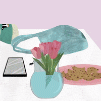 Miqan tea kitchen biscuits miqan GIF