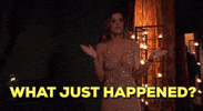 Season 12 Wtf GIF