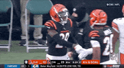 Cincinnati Bengals Football GIF by NFL