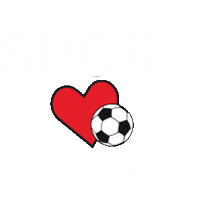 sportterazwy sportterazwy Sticker