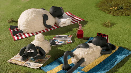Excuse Me What GIF by Aardman Animations